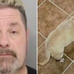 Zgodba o starcu in kajmaku. Poštenost, ki je danes redkost!