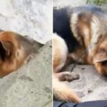 V dekliški šoli jih učijo nečesa nenavadnega. Pravijo, da njihovo šolanje presega učbenike…