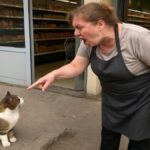 Pes je zadnjič objel svojega lastnika pred uspavanjem. Veterinarka pa je nenadoma zakričala!