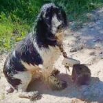 Tri bogate ženske so ponižale “revno” natakarico: Dokler se ni moj partner postavil po robu!