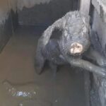 Slavni nogometaš izpolnil željo dečku, ki so ga vrstniki pretepali …