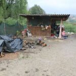 Slovenija dobiva 1000 evrov minimalne plače. Višja tudi regres in božičnica. Delodajalcem to ni všeč …