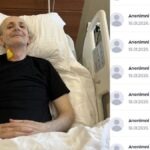 Niko se po napadu morskega psa bori za življenje …