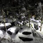 Vsak četrti Slovenec že poskusil prepovedane substance