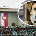 17-letni fant je našel denarnico, polno denarja. Nato je šel domov in naredil nekaj neverjetnega!