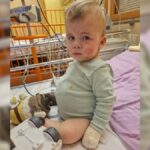 Študija pravi: Bolečina ob smrti hišnega ljubljenčka je enaka bolečini ob izgubi bližnje osebe …