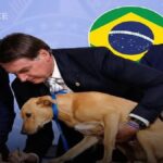 Leta 2012 je bila še na invalidskem vozičku. Danes je vstala na noge in postala herojka!