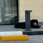 Starša sta ga tako zlorabljala, da je izgubil obe nogi: Zdaj se mu bodo uresničile največje sanje