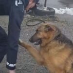 Zdravniki so ji napovedali le še tri mesece življenja. Toda zdaj praznuje zmago nad boleznijo!
