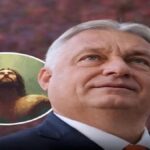 Ameriška odvetnica: Če nekdo posili otroka, si ne zasluži druge priložnosti!