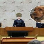 Direktor na večerji med delavce razdelil 22 milijonov. Vzeli so si lahko, kolikor so želeli!