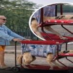 Predsednica države: Nove slovenske vlade si želim čimprej