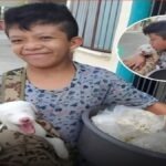 Peš je na hrbtu nesel svojega psa, ki je bil operiran. Prizor, ki gane!