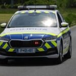 Tale kužek je taval po okolici Slovenj Gradca. Policist je šel do njega in storil nekaj IZJEMNEGA!