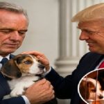 Tajkunov dojenček je umrl v bolnišnici … dokler čistilka ni storila nepredstavljivega!
